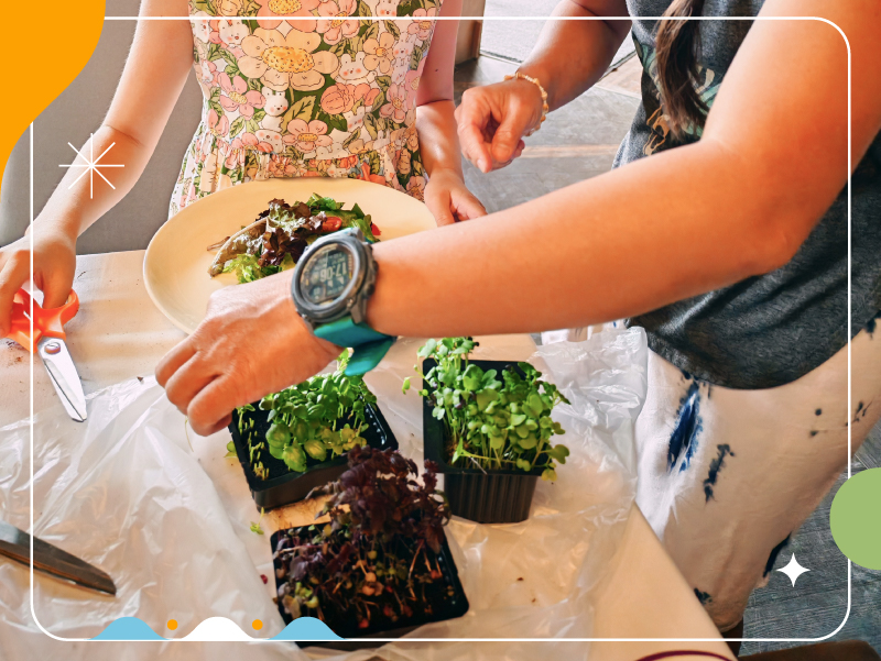 Microgreen Planting with Ola